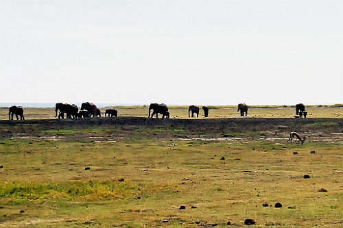 Kenia (135)